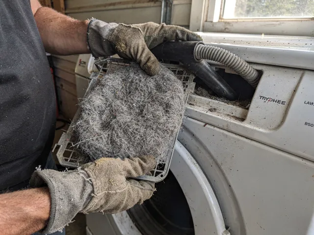 Cleaning Dryer Lint Trap in Laguna Woods, CA